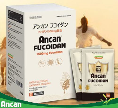 Kinh nghiệm vàng mua fucoidan chính hãng chuẩn nhất