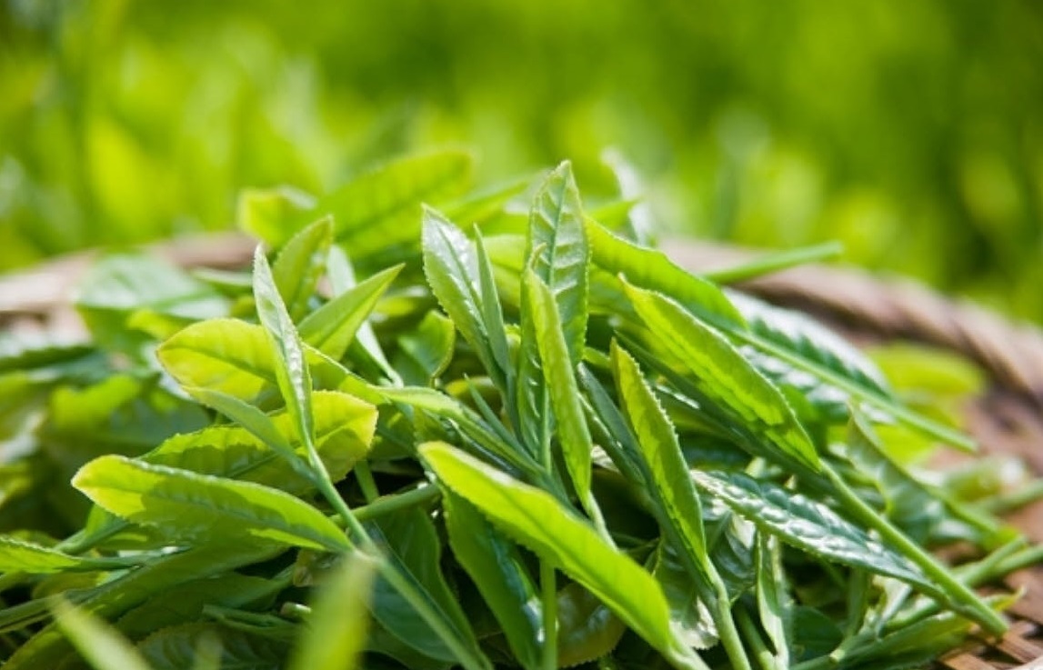 Thực phẩm chức năng Ancan có tốt không? 2