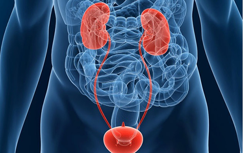 Những loại ung thư thường 