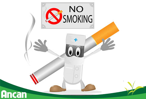 10 điều nên và không nên làm giúp giảm thiểu nguy cơ mắc ung thư 2