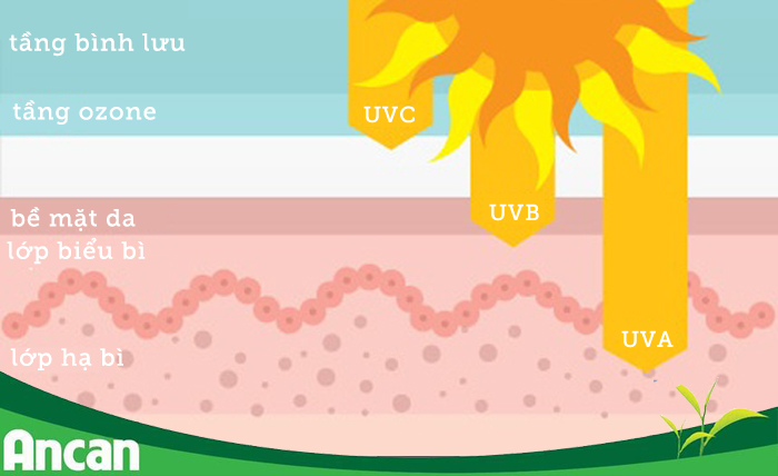 10 điều nên và không nên làm giúp giảm thiểu nguy cơ mắc ung thư 6