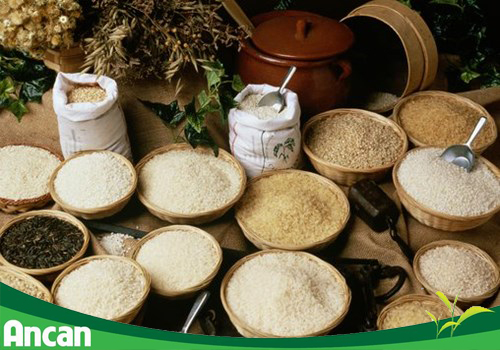 3 cách ăn uống làm tăng nguy cơ mắc ung thư bạn cần tránh 3