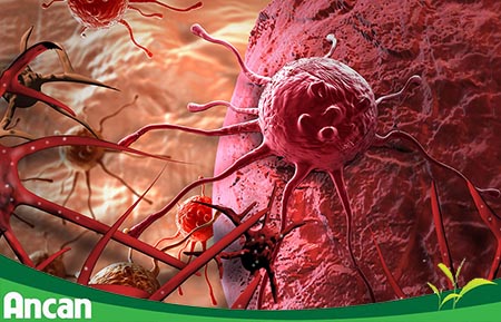 3 nguyên tắc vàng giúp phòng ngừa ung thư 1