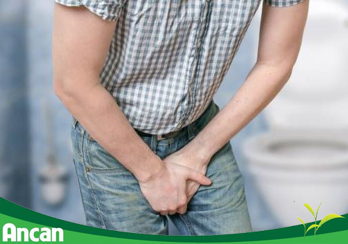 5 loại ung thư thường gặp ở người lớn tuổi 2