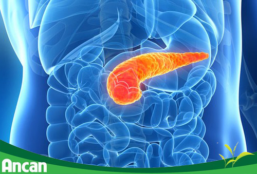 5 loại ung thư thường gặp ở người lớn tuổi 3