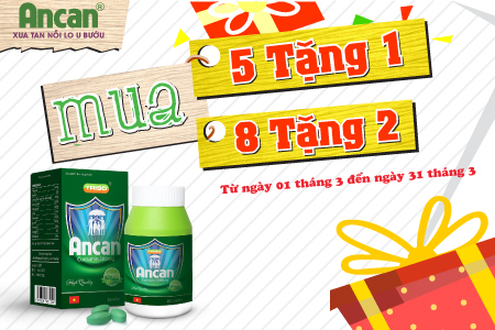 Chương trình khuyến mãi Ancan tháng 3