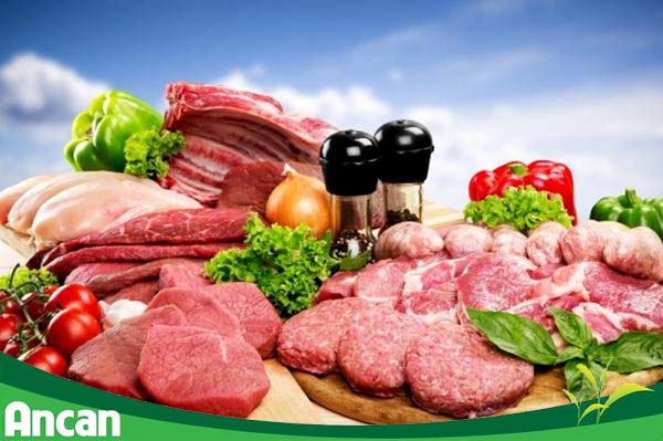 Đạm động vật – Món ăn yêu thích nhất của tế bào ung thư1