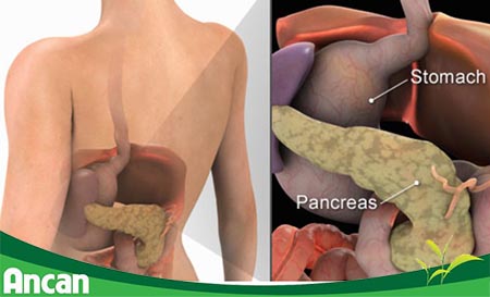 Đau bụng là biểu hiện thường gặp ở bệnh nhân ung thư gan 2
