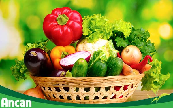 Đạm động vật – Món ăn yêu thích nhất của tế bào ung thư