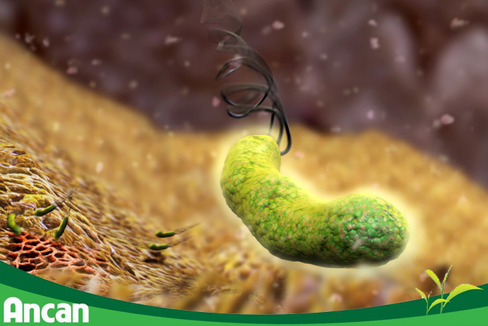 Những ai có nguy cơ mắc ung thư đường tiêu hóa? 3