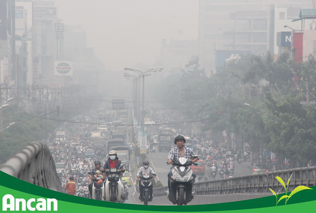 Tại sao cần phòng tránh ung thư? 1