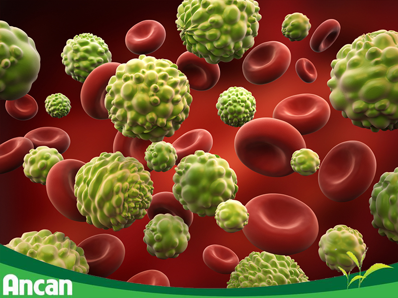 Tại sao cần phòng tránh ung thư? 4