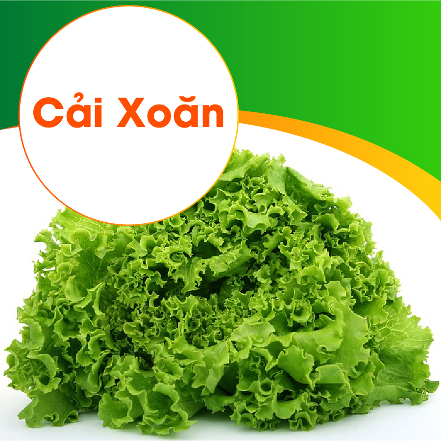 Thực phẩm mùa đông chống ung thư 1