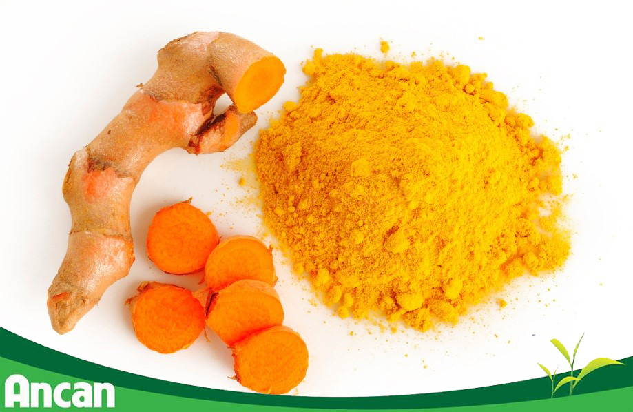 nghệ vàng - thành phần của ancan 1