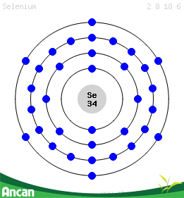 selen thành phần ancan 1