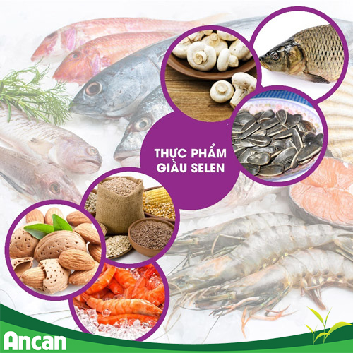 selen thành phần ancan 2