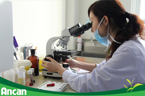 cac-phuong-phap-chan-doan-va-dieu-tri-u-ba-dau-1