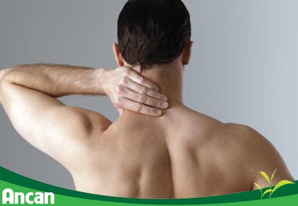 Hạch ở cổ sau gáy là lành tính hay ác tính? 1