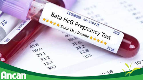 5-nguyen-nhan-gay-u-nang-buong-trung-3