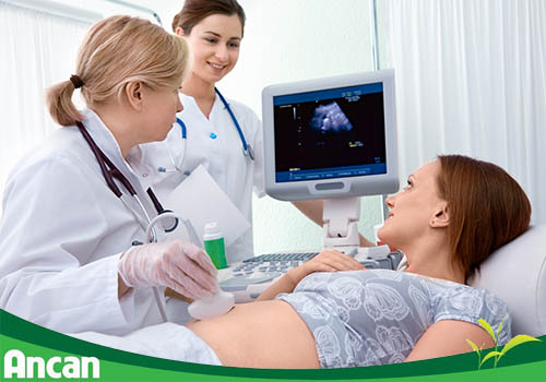 U nang buồng trứng phát triển qua những giai đoạn nào? 3