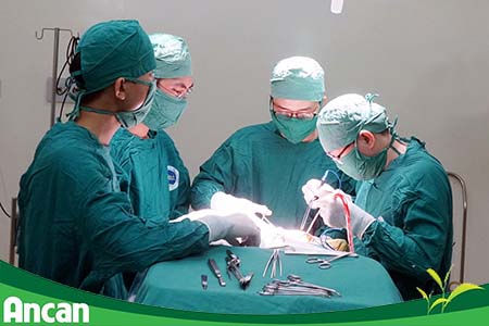 U não lành tính – nguyên nhân, triệu chứng và cách điều trị 4