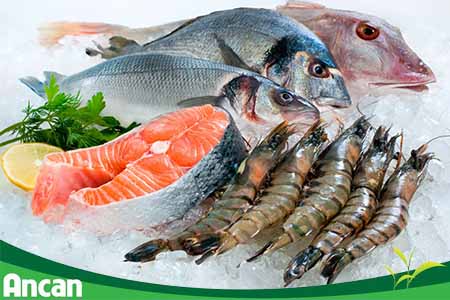 Bướu tuyến giáp nên ăn hải sản