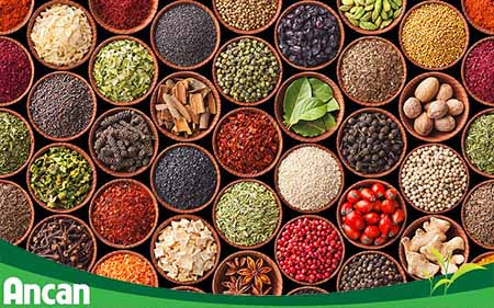 Chữa bệnh cường giáp bằng đông y