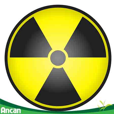 Nguyên nhân gây bệnh k giáp dạng nhú