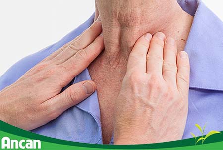 Nguyên nhân và triệu chứng nhân tuyến giáp 2
