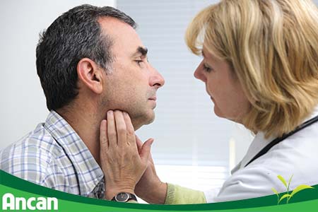 Tuyến giáp là tuyến nội tiết nằm ở phía trước cổ, có hình con bướm 2