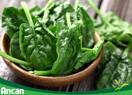 Bệnh nhân nhân tuyến giáp nên ăn gì và kiêng ăn gì 1