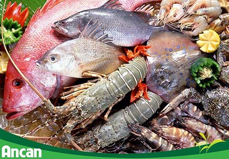 Bệnh nhân nhân tuyến giáp nên ăn gì và kiêng ăn gì 2