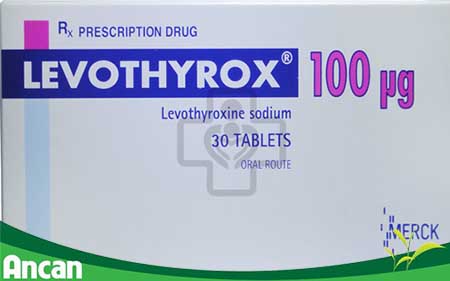 thuốc levothyrox