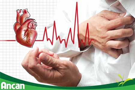 Vấn đề tim mạch