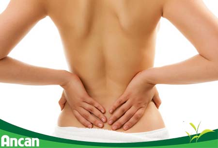 7 triệu chứng của u xơ tử cung 2