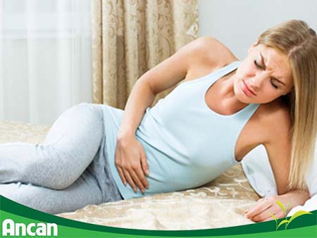 Nguyên nhân gây u xơ tử cung 2