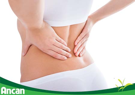 U xơ tử cung là gì 2