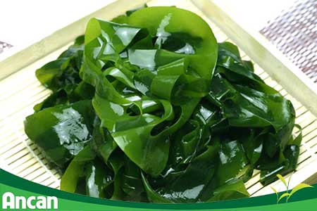 U xơ tử cung nên và không nên ăn gì 2