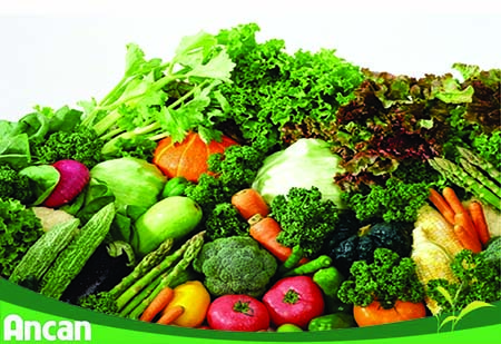 kien-thuc-chung-ve-benh-ung-thu-co-tu-cung-6