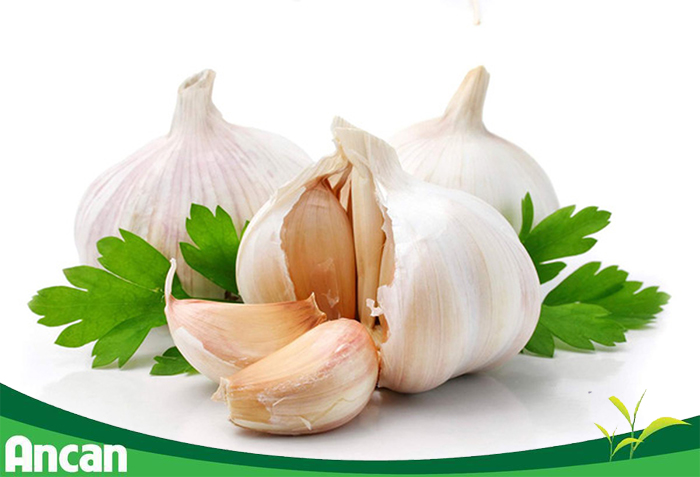 7 loại thực phẩm giúp phòng tránh ung thư dạ dày 1