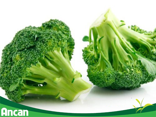 7 loại thực phẩm giúp phòng tránh ung thư dạ dày 3