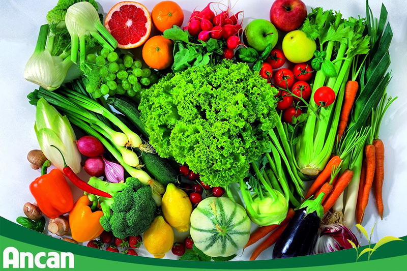 Các biện pháp phòng tránh ung thư dạ dày 3