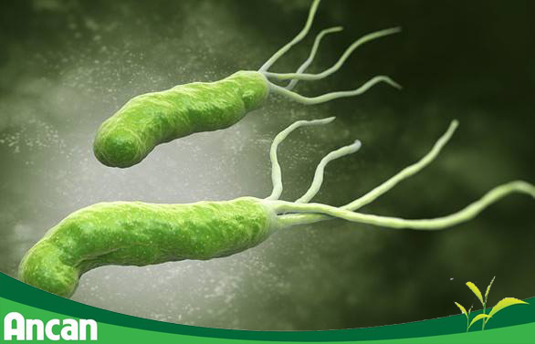 đứng hàng thứ 3 trong 10 loại ung thư phổ biến tại Việt Nam 4