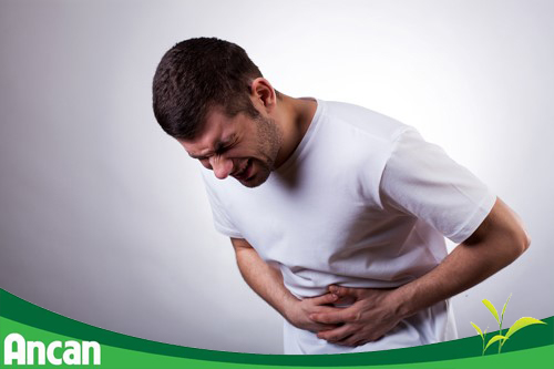 Để phòng tránh ung thư dạ dày, phải tiêu diệt vi khuẩn HP 1