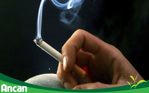 Nguy cơ gây ung thư dạ dày tiềm ẩn trong lối sống hàng ngày 3