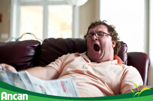 Ai có nguy cơ cao mắc bệnh ung thư đại tràng 3