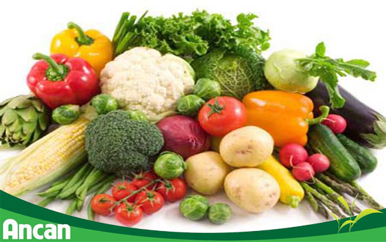 Các biện pháp phòng tránh ung thư đại tràng 4