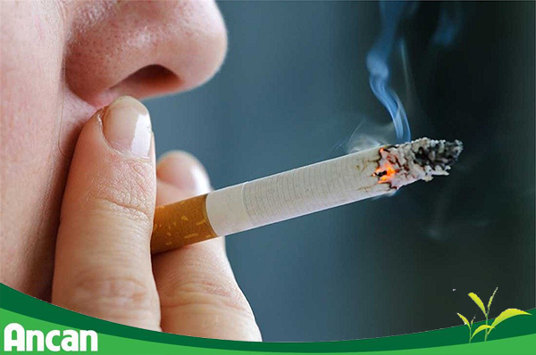 Nguyên nhân của bệnh ung thư đại tràng 5