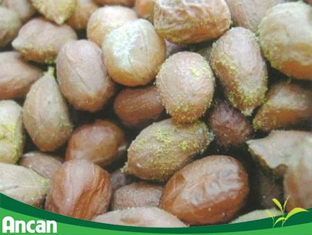 Ung thư gan là gì 4