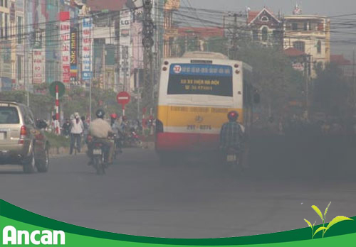 7 yếu tố nguy cơ gây ung thư phổi 4